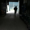 staff