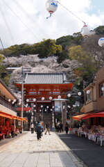 紀三井寺参道