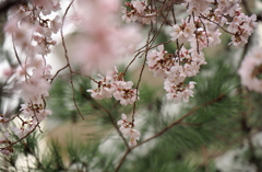 風そよぐ
