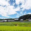 明日香の空と彼岸花３