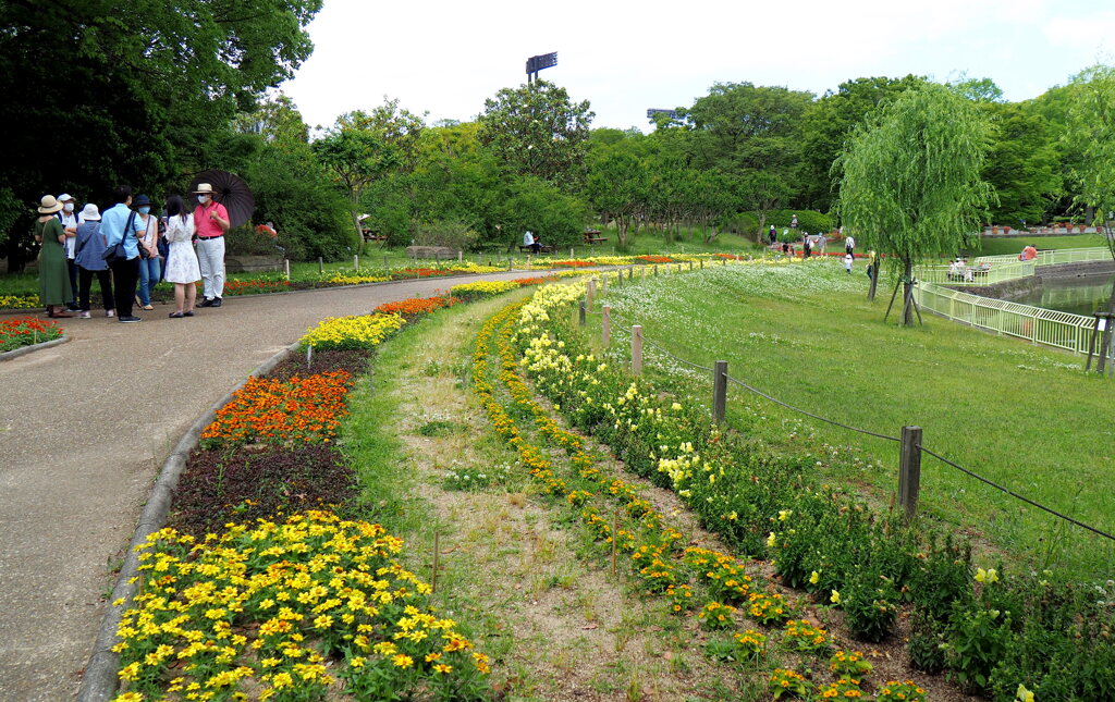 緊急事態宣言解除後の植物園２