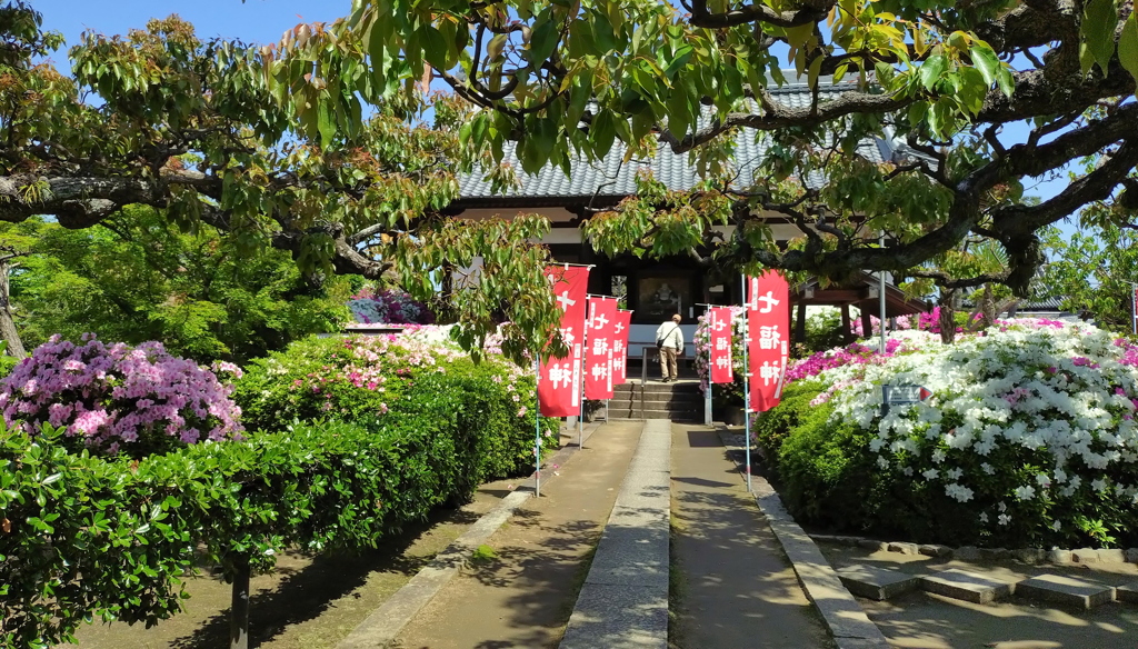 法雲禅寺④