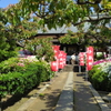 法雲禅寺④