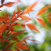 そよ風に