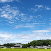 明日香の空と彼岸花２