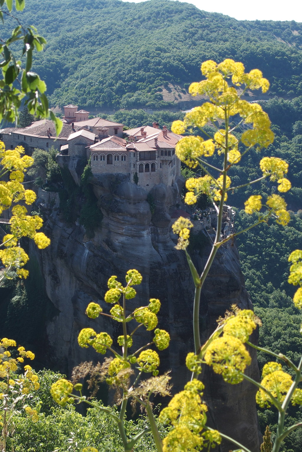 黄色い花と修道院