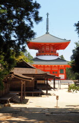 根本大塔