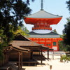 根本大塔