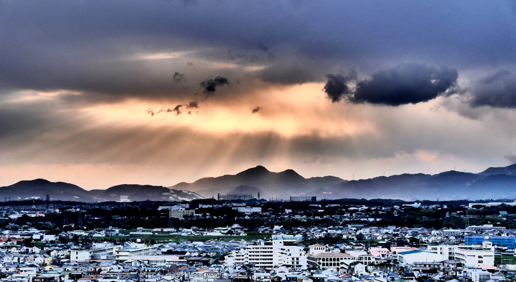 朝空を泳ぐ