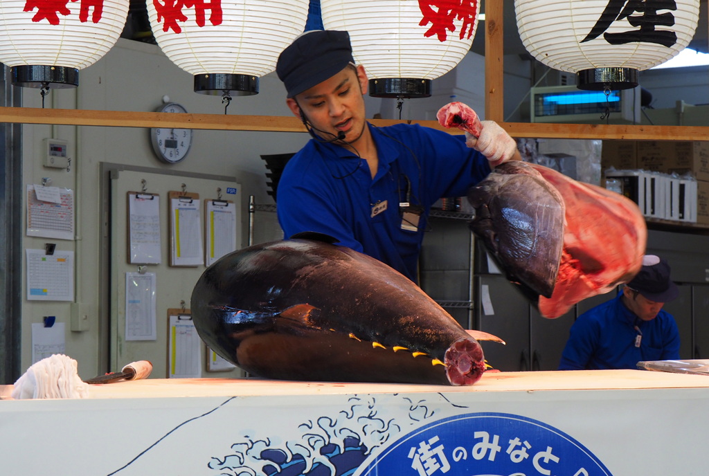マグロの解体ショー1