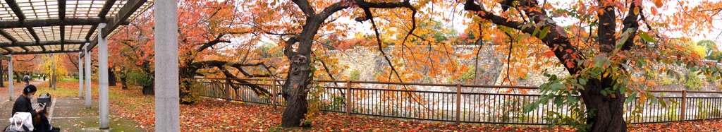 過ぎ去りし秋を偲んで①