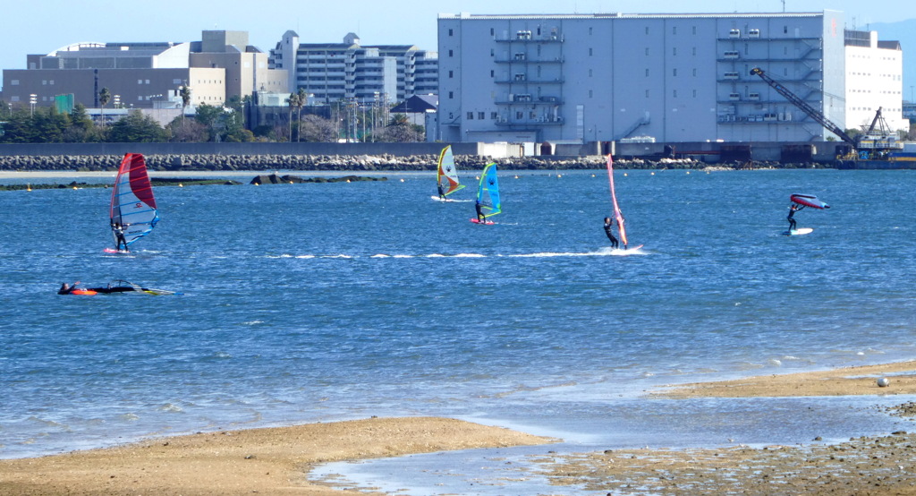 甲子園の浜3