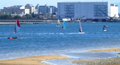 甲子園の浜3