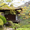 鳶魚閣 と花紅葉