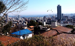 nice view①