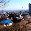 nice view①
