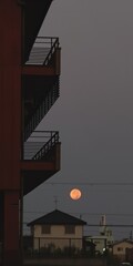 コーンムーン②