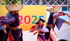 よさこい大阪大会②