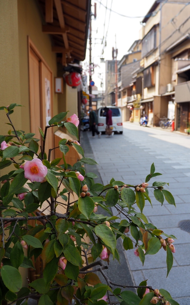 宮川町２