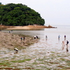 潮干狩り②
