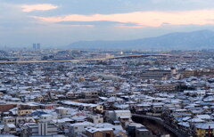 薄っすら雪化粧①
