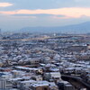 薄っすら雪化粧①