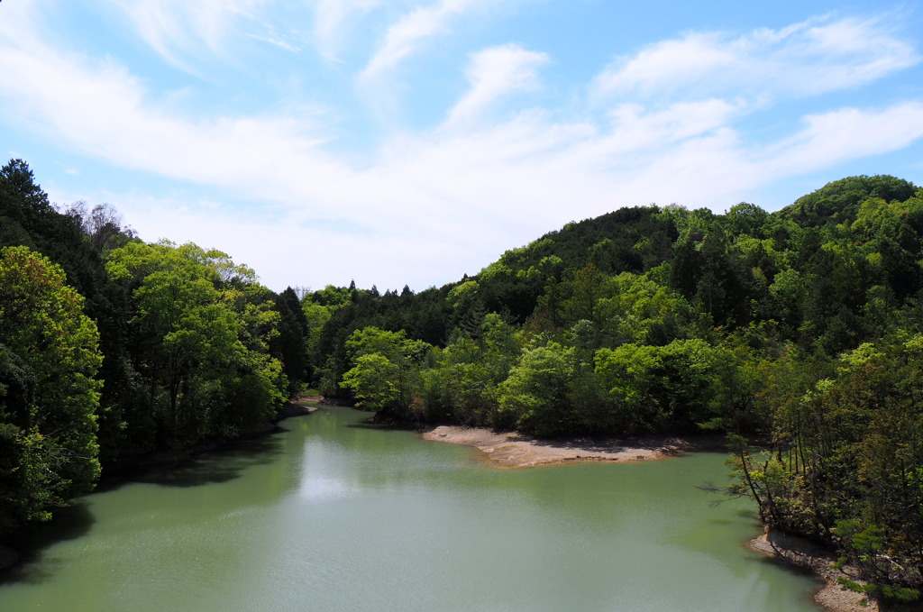 新緑の公園 