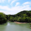 新緑の公園 