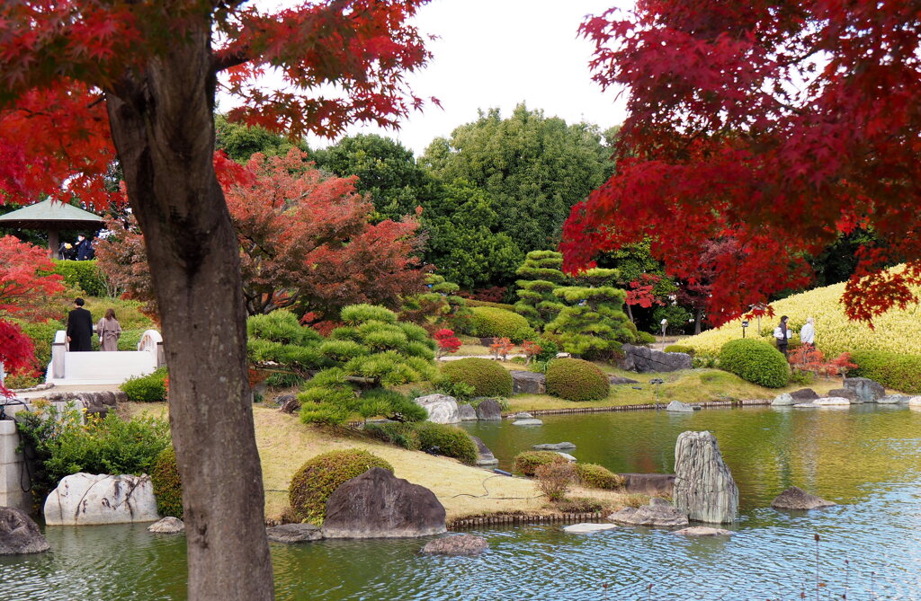 日本庭園の紅葉１