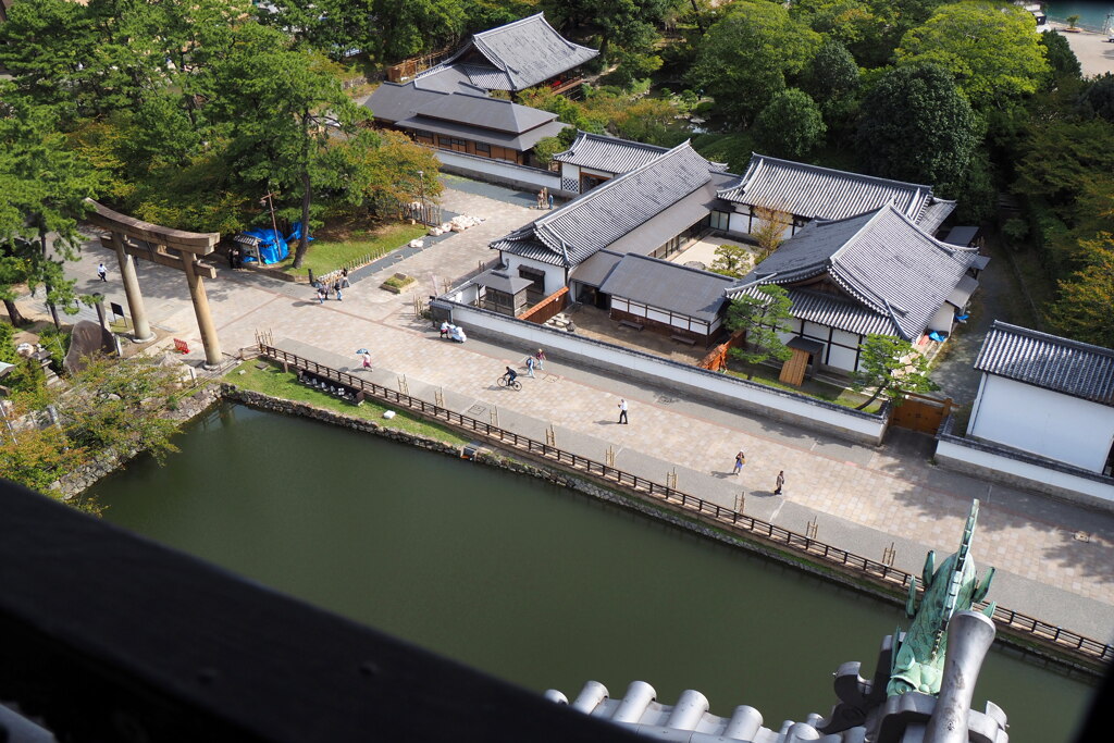 天守閣から庭園を眺める