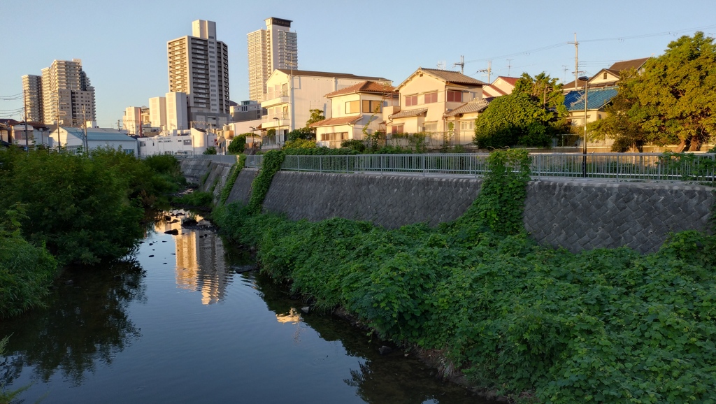 マンションの見える風景