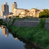 マンションの見える風景