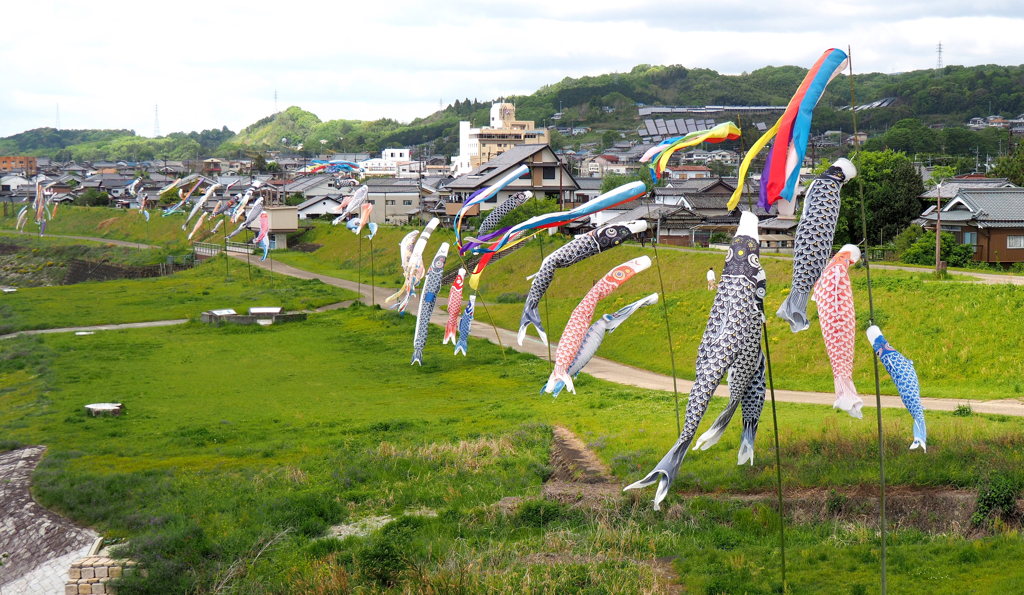 河川敷で泳ぐ