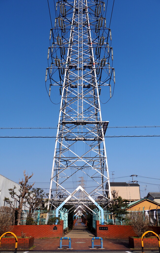 シンメトリー①