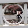 明治村②