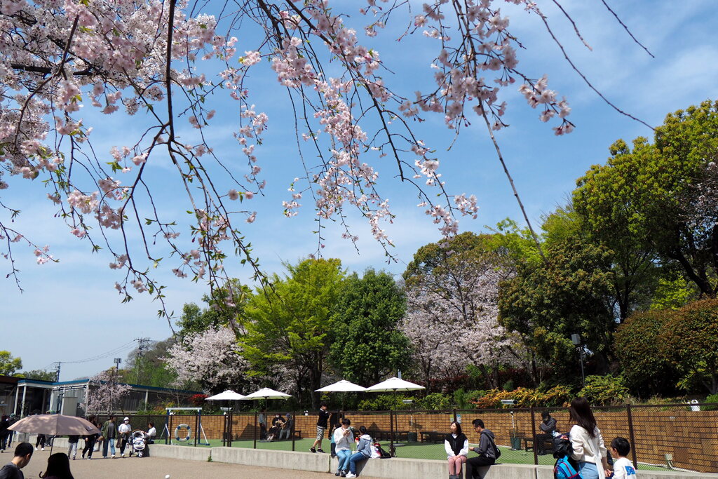 天王寺公園１
