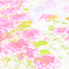 紫陽花art １
