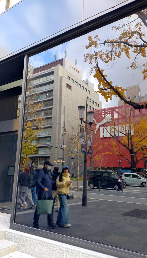 師走の御堂筋①