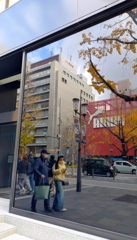 師走の御堂筋①