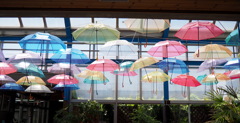 梅雨時も楽しく♪