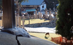 二月堂