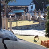 二月堂
