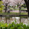 ひょうたん池②