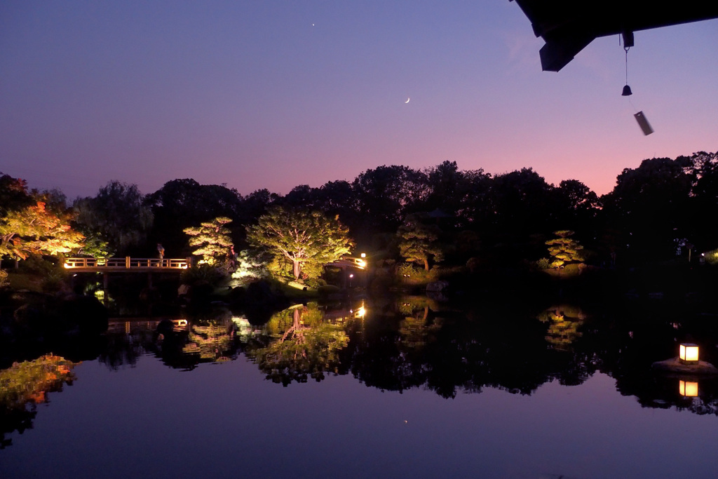 ライトアップの日本庭園