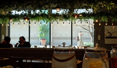 ガラス越しの冬②