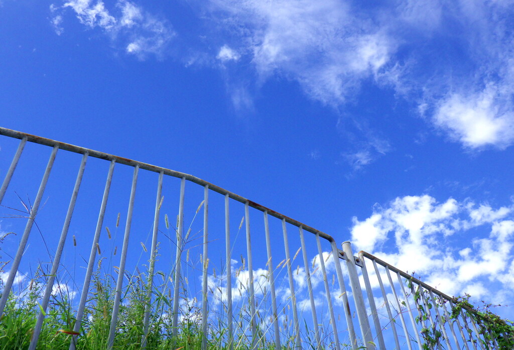 青空