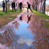 桜と水溜り４