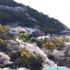 紀三井寺を仰ぐ
