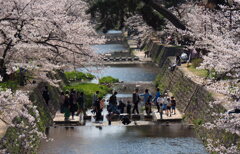 川辺の賑わい♪