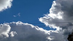 今年も宜しくお願いします